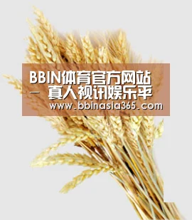 BBIN体育官方网站 - 真人视讯娱乐平台