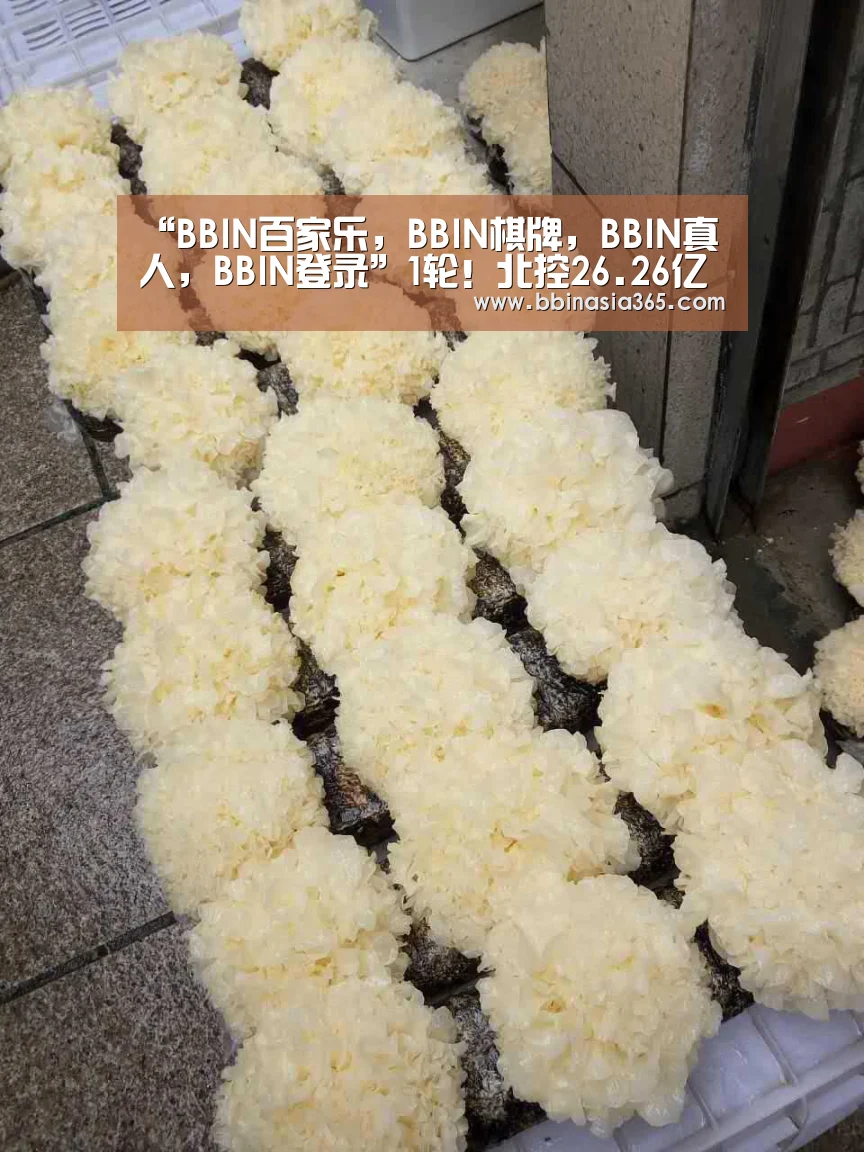 BBIN百家乐，BBIN棋牌，BBIN真人，BBIN登录